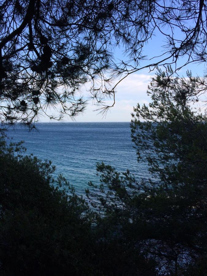 Bed and Breakfast Les Bruyeres Saint-Mandrier-sur-Mer Exterior foto