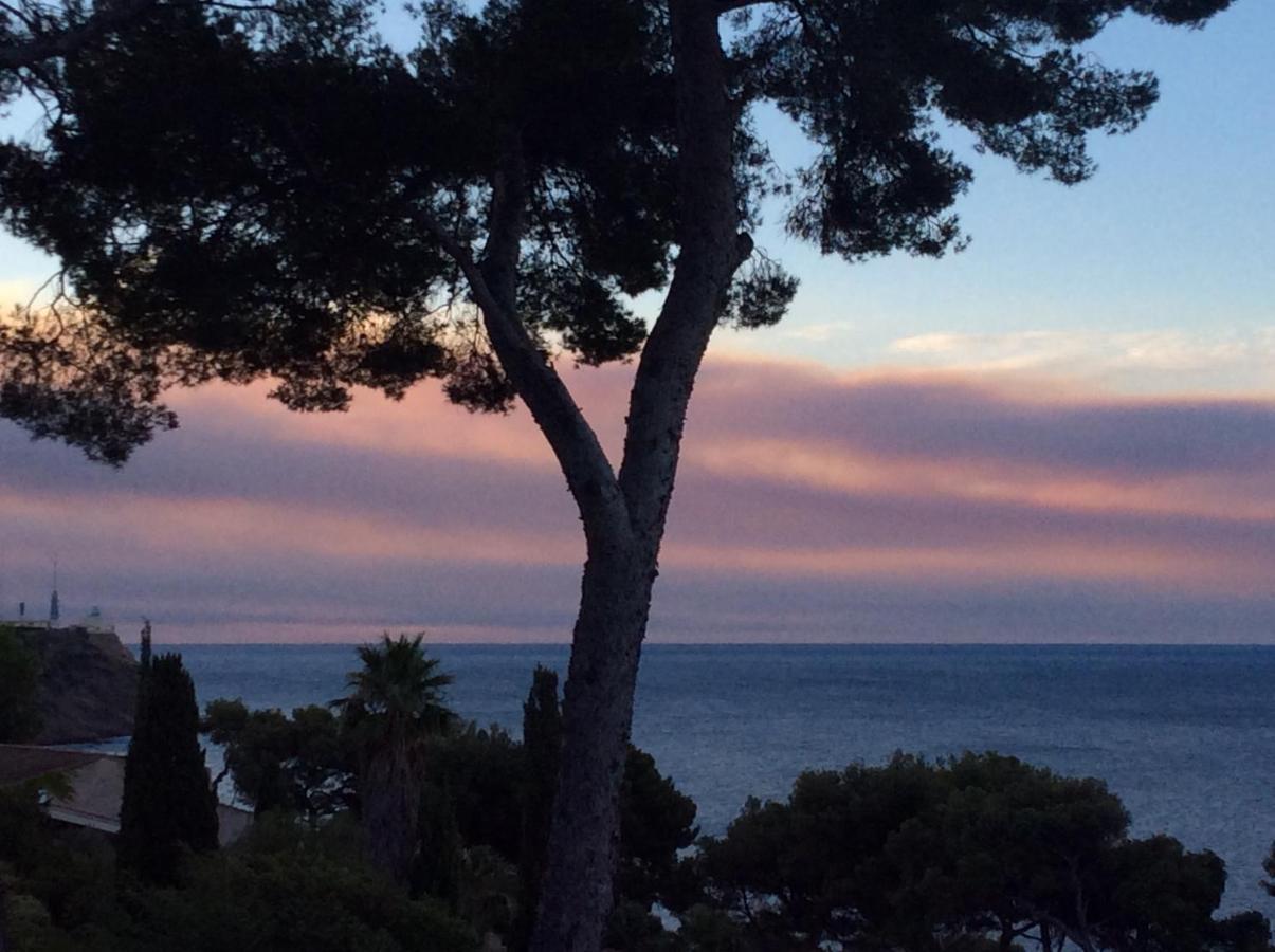 Bed and Breakfast Les Bruyeres Saint-Mandrier-sur-Mer Exterior foto